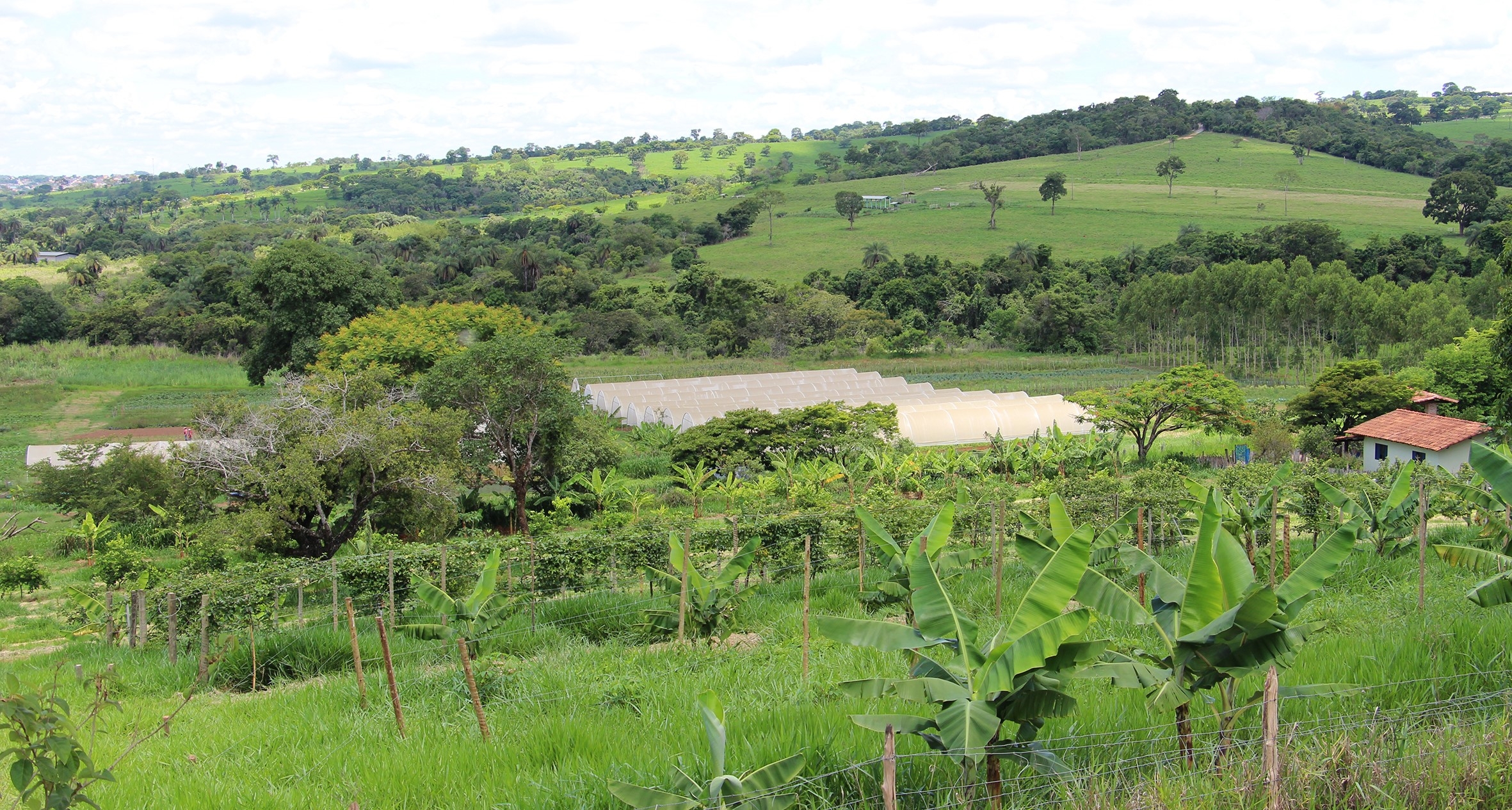 Plataforma do Cadastro Ambiental Rural já cadastrou mais de 1 milhão de imóveis em Minas